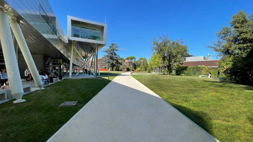 Pedestrian/cycle lane - University of Bologna / Campus Universitario - Forlì
